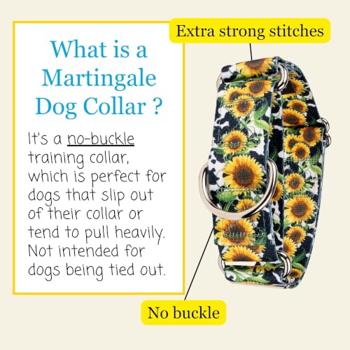 Country Brook Petz - HossFit Jr Wide Martingale Dog Collar - Country and Western Collection Featuring Rustic Designs (Dairy Fields, Medium) - color: Dairy Fields, size: Medium (Pack of 1)