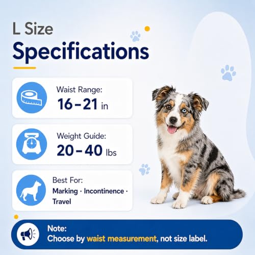 Male Dog Diaper Disposable Wraps for Waist 16–21 in,10 Count Leakproof, Super Absorbent, Adjustable Fit, Wetness Indicator, L - size: Male 10ct Waist 16~21in(L)