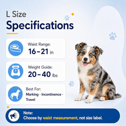 Male Dog Diaper Disposable Wraps for Waist 16–21 in,10 Count Leakproof, Super Absorbent, Adjustable Fit, Wetness Indicator, L - size: Male 10ct Waist 16~21in(L)