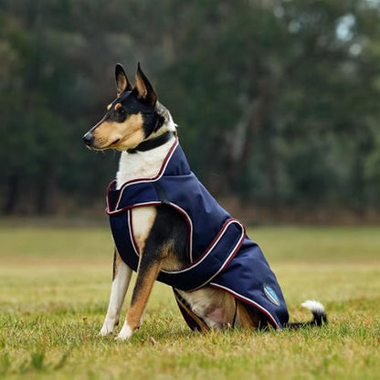 WeatherBeeta ComFiTec Premier Deluxe Waterproof Dog Coat, Navy/Burgundy, 16" - color: Navy/Burgundy, size: 16"