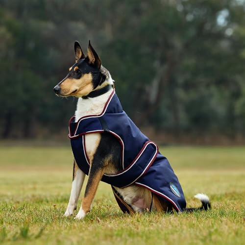 WeatherBeeta ComFiTec Premier Deluxe Waterproof Dog Coat, Navy/Burgundy, 28" - color: Navy/Burgundy, size: 28"