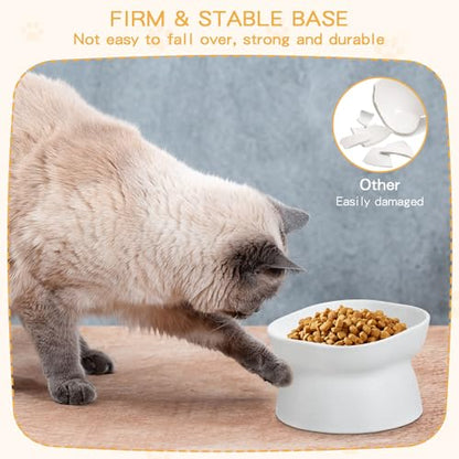4 Pieces Plastic Tilted Elevated Cat Bowls Raised Cat Food Bowls Elevated Feeding Dish for Flat Faced Kitten Kitty Pets Supplies(White) - color: White