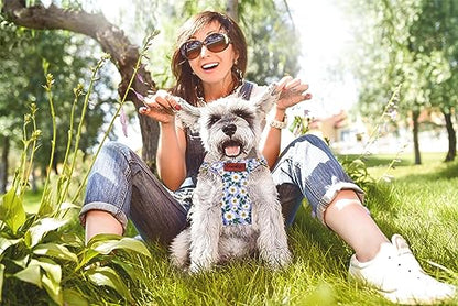 OaaXbbECco No Pull Floral Pattern Puppy Harness,Soft Adjustable Dog Harness Vest and Dog Leash Set No Choke Escape Proof (Purple Daisy, XS) - color: Purple Daisy, size: XS