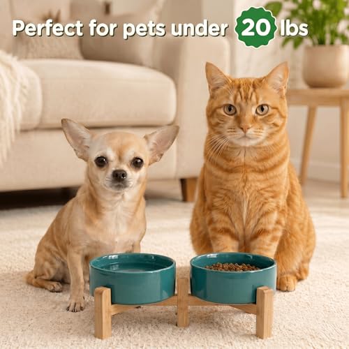 SPUNKYJUNKY Elevated Dog Bowls Ceramic, 5.1'' Dogs and Cat Food Water Bowls Raised with Non-Slip Bamboo Stand for Puppy Small Sized Breed Microwave Dishwasher Safe - 13.5 OZ,Dark Green - color: Dark Green, size: 5.1 in - 1.7 cups