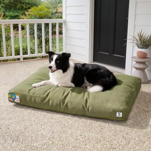 Sytopia 36 Inch Indestructible Canvas Outdoor Durable Dog Bed for Large Dogs, Chew Proof Shredded Chopped Foam Patio Pet Pad for Crate with Waterproof Machine Washable Removable Cover, Green - color: Green, size: Large