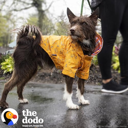 The Dodo Rainy Days Printed Raincoat for Dogs, Orange, Size Large; Water Resistant Dog Raincoat with Hook-and-Loop Drape Closure, Easy Clean PVC Material - size: Large