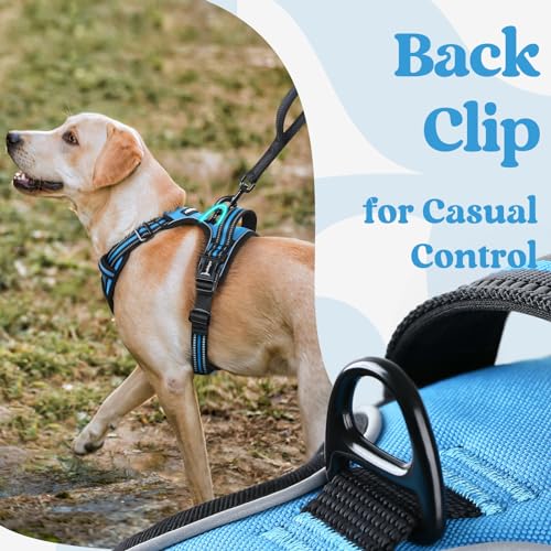 rabbitgoo Dog Harness Small Sized, No Pull Pet Harness with 3 Buckles, Adjustable Soft Padded Vest with Control Handle, Walking Reflective Pet Vest for Small Dogs, Sky Blue, S - color: Sky Blue, size: Small