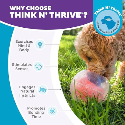 Outward Hound Nina Ottosson Topsy Treat Ball Dog Puzzle Interactive Treat Puzzle Dog Enrichment Dog Toy, Level 1 Beginner, Orange - color: Dog Rumble (Orange)
