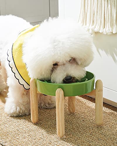 LE TAUCI Ceramic Slow Feeder Dog Bowls Elevated for Small and Medium Breed, Dog Bowls with Wooden Stand, 1.5 Cups Pet Dishes to Slow Down Eating, Anti-Gulping Pet Feeding Dishes, Clover Green - color: Clover Green+Stand, size: M-1.5 Cups