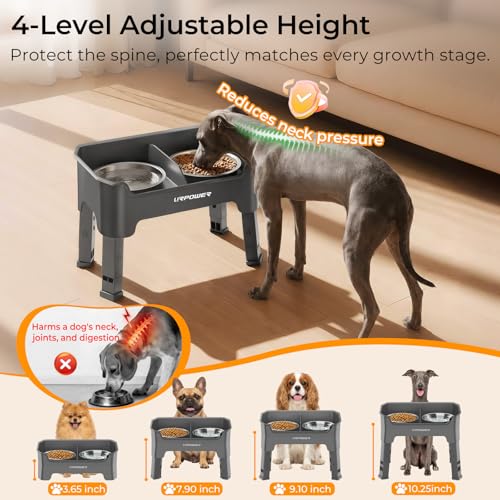 URPOWER Mess Proof Elevated Dog Bowls 4 Height Adjustable Raised Bowl Stand with 2 Stainless Steel Dog Bowls Non-Slip Food and Water Bowl Set for Small Dogs, Grey - color: Grey, size: Small