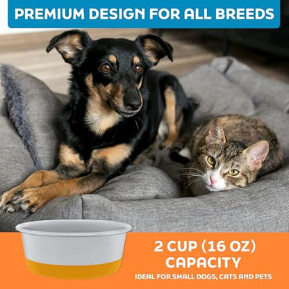 Master Pet Supply Stainless Steel Dog Bowls Set of 2 with Extra Thick Silicone Base - 2 Cup (16 oz) Mango Tango, Non-Slip, Dishwasher Safe Metal Bowls, Pet Dog Food Bowl for Dogs, Cats, Anti Rust - color: Mango Tango, size: 2 Cups (16 oz) 2 Pack