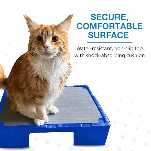 Blue-9 KLIMB Jr. Professionally Designed Dog Training Platform and DIY Guide for Behavior Basics, Made in The USA, Blue - color: Blue