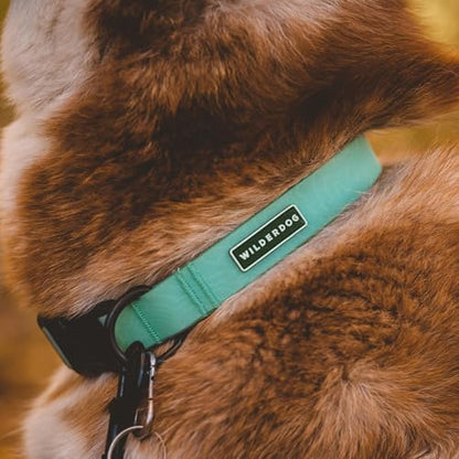 Wilderdog Waterproof Dog Collar - Repels Water & Dirt - Medium 13"-18" - Seafoam - color: Seafoam, size: Medium
