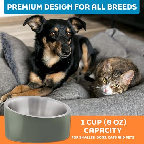 Master Pet Supply Stainless Steel Slanted Dog Cat Food Bowl - 8 oz Heavy Duty - Camo Patrol, Double Wall Insulated, Non-Slip Elevated Bowl for French Bulldogs Pugs Cats, Anti Rust Dishwasher Safe - color: Camo Patrol, size: 1 Cup (8 oz)