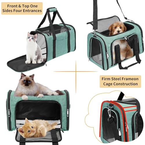Soft-Sided Cat/Dog/Pet Carrier, Collapsible Pets Travel Carriers for Big Cats/Small Dogs with Shoulder Strap & Removable Mat, Mesh Puppy Carry Bag, Up to 25 Lbs (Turquoise) - color: Turquoise, size: 20"L x 13"W x 13"H