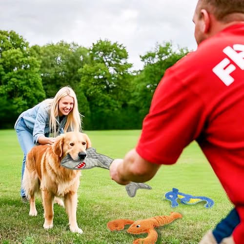 Dog Toy Squeak No Stuffing Toys, 4-Pack Toys for Small Medium Large Breed, Puppy Teething Interactive Toy to Keep Them Busy, Best Christmas Birthday Gift - color: grey