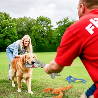Dog Toy Squeak No Stuffing Toys, 4-Pack Toys for Small Medium Large Breed, Puppy Teething Interactive Toy to Keep Them Busy, Best Christmas Birthday Gift - color: grey