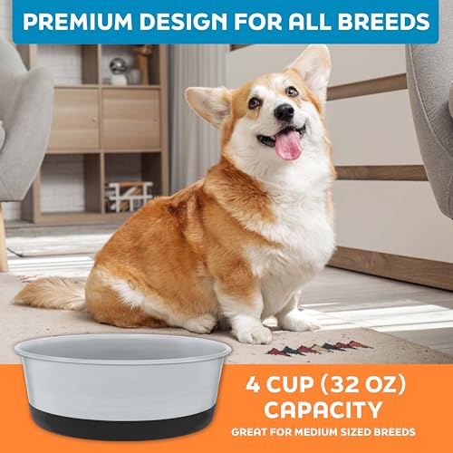 Master Pet Supply Stainless Steel Dog Bowls Set of 2 with Extra Thick Silicone Base - 4 Cup (32 oz) Black Velvet, Non-Slip, Dishwasher Safe Metal Bowls, Pet Dog Food Bowl for Dogs, Cats, Anti Rust - color: Black Velvet, size: 4 Cups (32 oz) 2 Pack