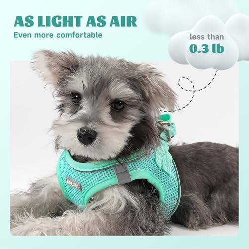 Dog Harness Small Sized and Leash Set, Step in Soft Light Puppy Vest, Breathable Mesh Pet Harness, Reflective for Safe Easy Walking. - color: Blue, size: Medium (Pack of 1)