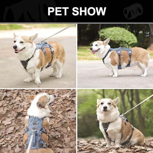 Escape Proof Dog Harness with Handle - Reflective No Pull Dog Vest, Lightweight Full Body Pet Harness Adjustable for Small Dogs Walking,Training(Blue,Chest:14-22") - color: Blue, size: XS: Chest 14-22", Fit 8-12 lbs