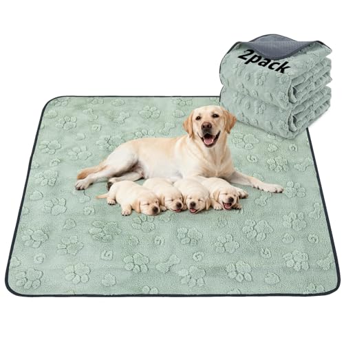 LOOBANI 2 Packs Extra Large Reusable Pee Pads for Dogs, 54x54in Waterproof Washable Dog Mat, Non-Slip and Leakproof Whelping Pad for Potty Training, Playpen, Crate,Floor and Bed - color: Green Dog Element, size: 54"x54"(Pack of 2)
