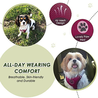 Lukovee Dog Car Harness Seat Belt, Adjustable Mesh Breathable Vest with Elastic Bungee Tether, Soft Padded 2-in-1 Safety Car Harness Seatbelt for Small Medium Large Dogs (Rose,XXS) - color: Rose, size: XX-Small