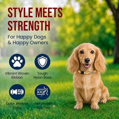 THE WORTHY DOG Spring Holiday Crazy Carrots Dog Collar – Durable Nylon, Woven Ribbon, Quick-Release Buckle, Nickel D-Ring – Green, Small - color: Crazy Carrots - Green, size: Small