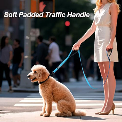 Heavy Duty Double Handle Dog Leash 6 ft Long for Total Control, Padded 2 Handle, Reflective Training Lead for Medium Large Dogs (Sky Blue, 6 FT) - color: Sky Blue