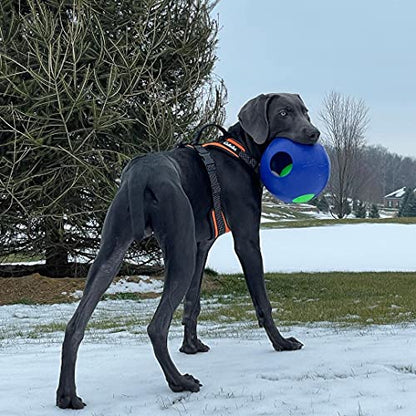 Jolly Pets Teaser Ball Dog Toy, Large/8 Inches, Blue, Model Number: 1508 BL - color: Blue, size: Large (8 in)