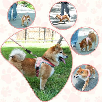 Dog Harness and Leash Set, No Pull Saddle Style Pet Harness, Breathable Mesh Adjustable Reflective Dog Vest for Medium Small Dogs Harness 2 D-Rings, Pink, S - color: Pink, size: S