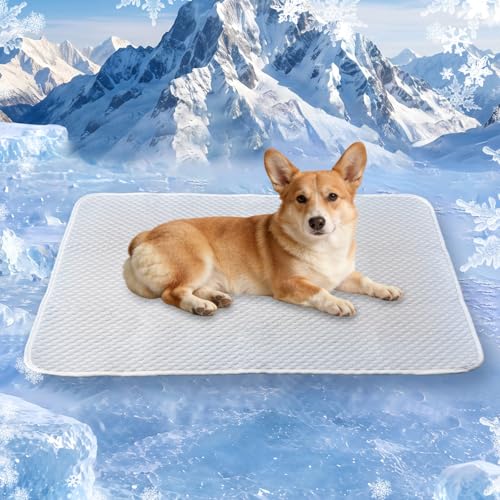 Dog Cooling Mat 38"x26" for Medium Dogs, M | Q-Max>0.4 Ice-Silk, Waterproof Non-Slip, Machine Washable, For Corgis, French Bulldogs, Crate Indoor Outdoor Travel - size: Medium 38"x26"