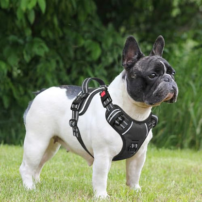 Timos Dog Harness, 3 Snap Buckles No-Pull Soft Padded Dog Vest with 2 Metal Leash Clips, Adjustable Reflective No Choke Pet Harness with Easy Control Handle for Small Dogs,Black,S - color: Lock-Black, size: Small (Pack of 1)