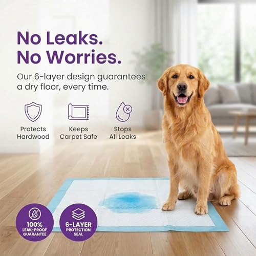 BV Puppy Pads XL 40 Count 34"x28" - Leak-Proof Pee Pads for Dogs with 6-Layer Design, Rapid Dry Sheet & Attractant - Dog Pad Extra Large with Odor Control - Perfect for Big Dogs & Indoor Use - size: XL / 40-Count (Standard)