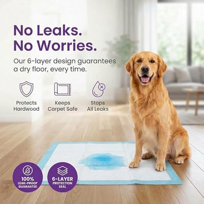 BV Puppy Pads XL 40 Count 34"x28" - Leak-Proof Pee Pads for Dogs with 6-Layer Design, Rapid Dry Sheet & Attractant - Dog Pad Extra Large with Odor Control - Perfect for Big Dogs & Indoor Use - size: XL / 40-Count (Standard)