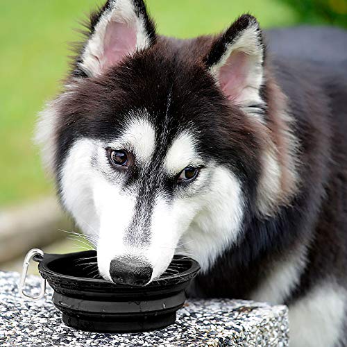 Kytely Large Collapsible Dog Bowls 2 Pack, 34oz Foldable Dog Travel Bowl, Portable Pet Water Food Bowl with Clasp, Pet Cat Feeding Cup Dish for Traveling, Walking, Hiking (Black+Black) - color: Black & Black