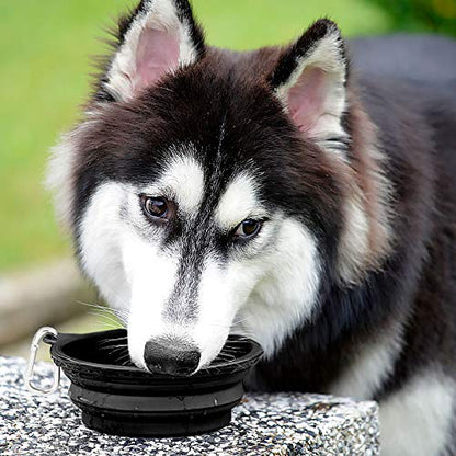Kytely Large Collapsible Dog Bowls 2 Pack, 34oz Foldable Dog Travel Bowl, Portable Pet Water Food Bowl with Clasp, Pet Cat Feeding Cup Dish for Traveling, Walking, Hiking (Black+Black) - color: Black & Black