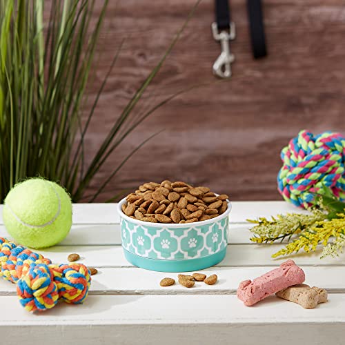 Bone Dry Lattice Collection Pet Bowl & Canister, Single Dish, Small 4.25x2", Aqua - color: Aqua, size: Small Single Dish, 4.25x2"