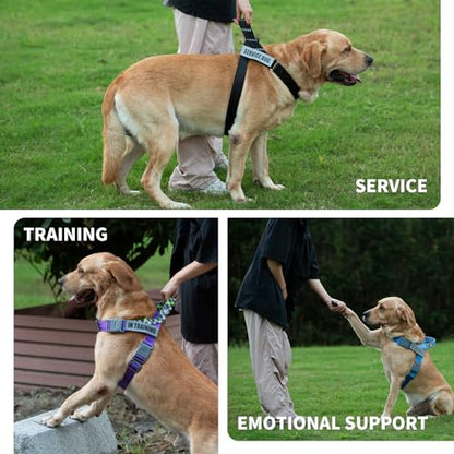 Service Dog Vest, No-Pull Service Dog Harness with 4 PCS Reflective Patches, Dog Vest Harness with Handle, Pet Harness for Small Medium Large Dogs in Training (Pink, M) - color: Pink Harness + 4 Patches, size: Medium (Chest: 22-29")