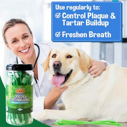 Bodhi Dog Dual-Headed Toothbrush for Dogs & Cats - Soft Bristles for Gentle Pet Dental Care - Puppy & Adult Teeth Cleaning - Easy-to-Use Design for Healthy Gums & Fresh Breath (50 Count) - size: 1 Count (Pack of 50)