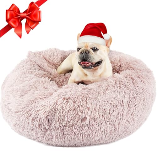 Himax Dog Beds for Medium Dogs, Donut Dogs Beds with Blanket Attached, Calming Dog Bed Washable (20"/26"/35") Beige - color: Beige, size: 26.0"L x 26.0"W x 9.0"Th