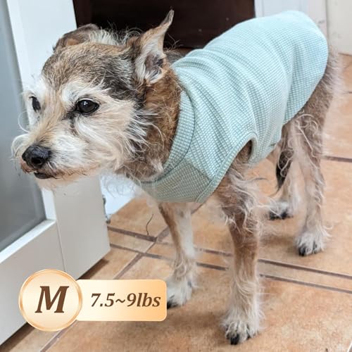 KYEESE 2Pack Dog Shirts Waffle for Small Dogs Stretchy T-Shirts Lightweight Tank Top Sleeveless Vest Breathable Cat Tee, Medium, Blue+Grey - color: 07# 2Pack(Blue+Grey), size: Medium (7-11lbs)