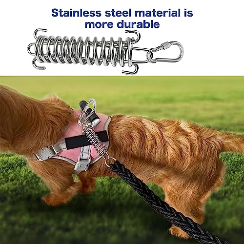 2 Pack Metal Bungee Leash Extension for Large Dogs, Tie Out Cable Attachment, Shock Absorbing Leash Spring for Training, Running
