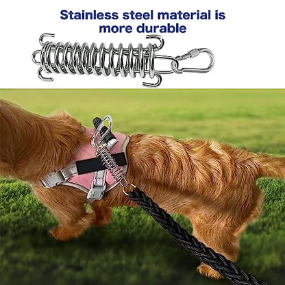 2 Pack Metal Bungee Leash Extension for Large Dogs, Tie Out Cable Attachment, Shock Absorbing Leash Spring for Training, Running