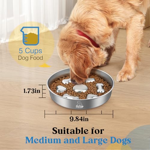 2Pcs Slow Feeder Dog Bowls, 5 Cups Stainless Steel Dog Slow Feeder Metal Pet Food Bowl with Non-Slip Base for Medium & Large Breed, Bloat Stop, Food-Grade, Dishwasher Safe - color: Silver/2 Pack, size: 5 Cups