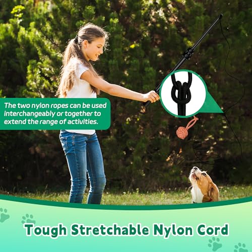 Flirt Pole for Dogs, Interactive Toys Tug-of-war for Pet, Durable Teaser Wand, Chase Toys with Rope Chewing Sticks, for Outdoor Exercise & Training - size: 2 switch-40.2Inch