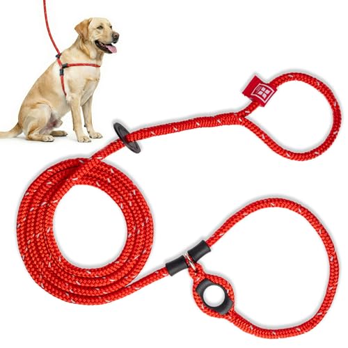 Harness Lead No Pull Dog Harness and Leash Set, Anti Pull Dog Harness for All Breeds and Sizes, One-Piece Cushioned Rope Design Safely Prevents Escaping and Pulling (Medium/Large, Red/Reflective) - color: Red Reflective