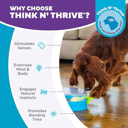 Outward Hound Nina Ottosson Paw N' Play Interactive Dog Treat Puzzle, Level 2 Intermediate Dog Enrichment Dog Toy, Blue, Small - color: Paw N' Play (Blue)