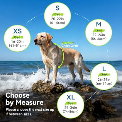 VIVAGLORY Neoprene Dog Life Vest, Dog Life Jacket for Swimming & Boating, Buoyancy & Comfort for Puppy Doggy, Swimming Vest with Handle, M, Cyra Blue | High Visibility Adjustable for Doggy Cat Puppy, Lifejacket with Leash Ring & Handle for Swimming & Boat