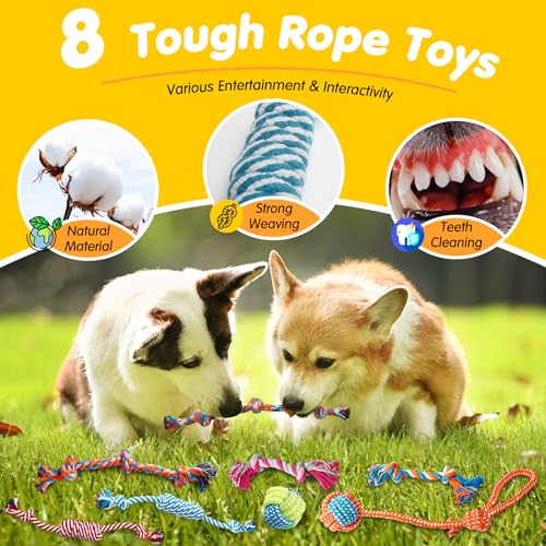 Zeaxuie 25 Pack Luxury Dog Chew Toys for Puppy, Dog Toys with Ropes, Treat Ball and Squeaky Puppy Toys for Teething Small Dogs - color: 25 Pack (Value-Toys)