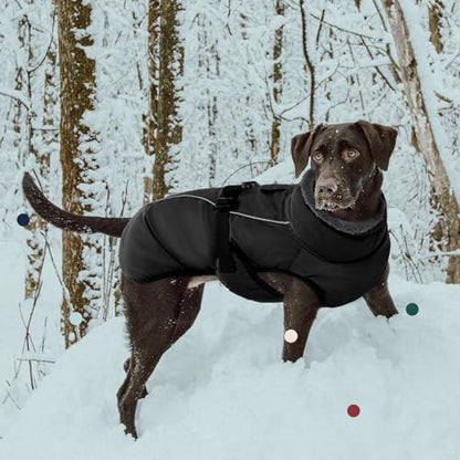 IECOii Extra Warm Reflective Adjustable Dog Jacket with Buckle Fleece Turtleneck for Small Medium Extra Large Dogs in Cold Weather - color: Black, size: Large(Chest:20.9-24.4 in)